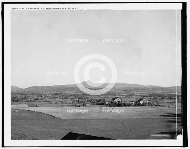 Camel's hump from University grounds, Burlington, Vt., between 1900 and 1906. Creator: Unknown.