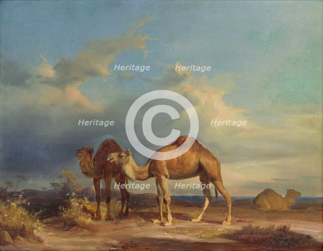 Camels in a southern landscape, 1835-1850. Creator: Karol Marko.