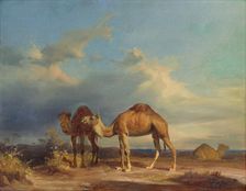Camels in a southern landscape, 1835-1850. Creator: Karol Marko