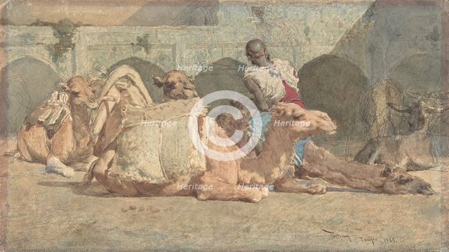 Camels Reposing, Tangiers, ca. 1854-74. Creator: Mariano Jose Maria Bernardo Fortuny y Carbo.