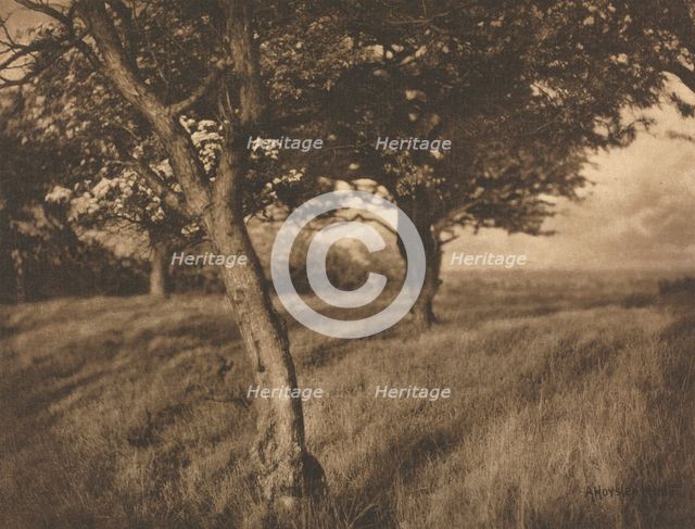 Camera Work: Beyond, 1905. Creator: A. Horsley Hinton (British, 1863-1908).