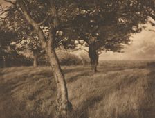 Camera Work: Beyond, 1905. Creator: A. Horsley Hinton (British, 1863-1908)