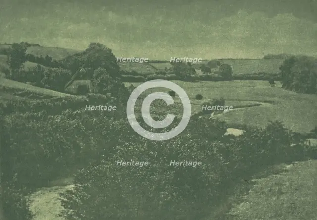 Camera Work: Meadow-brook, 1904. Creator: Theodor Hofmeister (German, 1868-1943); Oskar Hofmeister (German, 1871-1937), and.