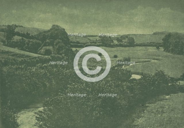Camera Work: Meadow-brook, 1904. Creator: Theodor Hofmeister (German, 1868-1943); Oskar Hofmeister (German, 1871-1937), and.