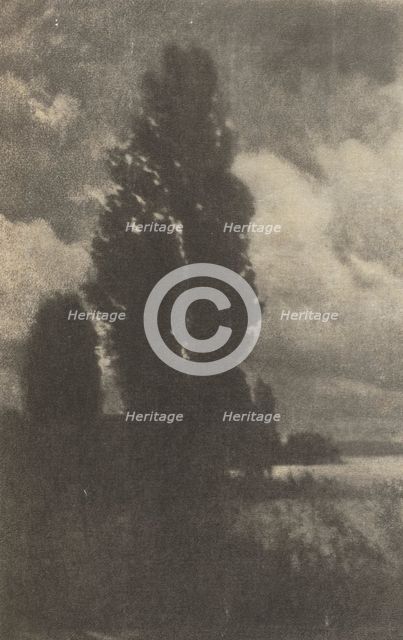 Camera Work: Poplars and Clouds, 1906. Creator: Hans Watzek (Austrian, 1848-1903).