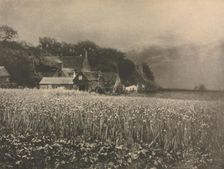 Camera Work: The Onion Field - 1890, 1890. Creator: George Davison