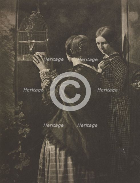 Camera Work: The Bird-Cage, 1909. Creator: David Octavius Hill (British, 1802-1870); Robert Adamson (British, 1821-1848), and.