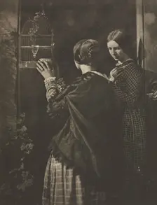 Camera Work: The Bird-Cage, 1909. Creator: David Octavius Hill (British, 1802-1870); Robert Adamson (British, 1821-1848), and