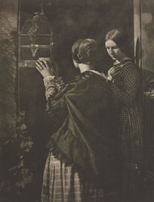 Camera Work: The Bird-Cage, 1909. Creator: David Octavius Hill (British, 1802-1870); Robert Adamson (British, 1821-1848), and