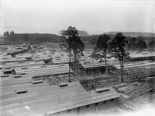 Camp, 1917 or 1918. Creator: Harris & Ewing