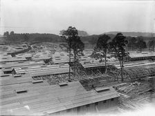 Camp, 1917 or 1918. Creator: Harris & Ewing
