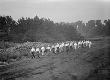 Camp, Walter, I.E, Exercise School - Cabinet Officials Exercising with Other Govt..., 1917 or 1918. Creator: Harris & Ewing