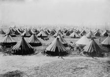 Camp at Galveston, between c1910 and c1915. Creator: Bain News Service