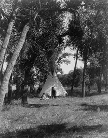 Camp in the cottonwoods-Cheyenne, c1910. Creator: Edward Sheriff Curtis