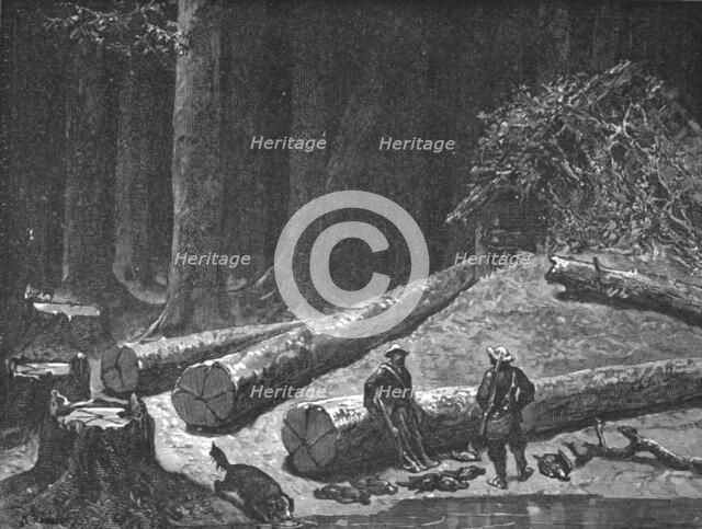 ''Camp in a Pine Forest; A Naturalist's Excursion in Wisconsin', 1875. Creator: Unknown.