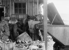 Camp Meade, Maryland - Misc, Views, 1917. Creator: Harris & Ewing