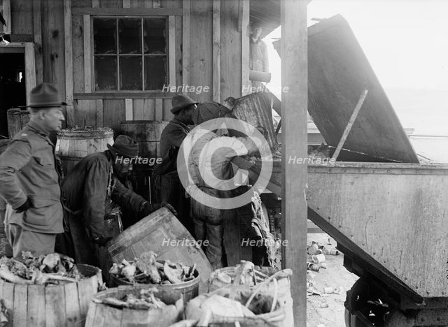 Camp Meade, Maryland - Misc, Views, 1917. Creator: Harris & Ewing.