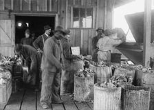 Camp Meade, Maryland - Misc, Views, 1917. Creator: Harris & Ewing