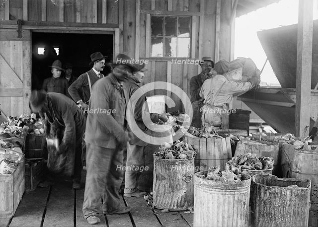 Camp Meade, Maryland - Misc, Views, 1917. Creator: Harris & Ewing.