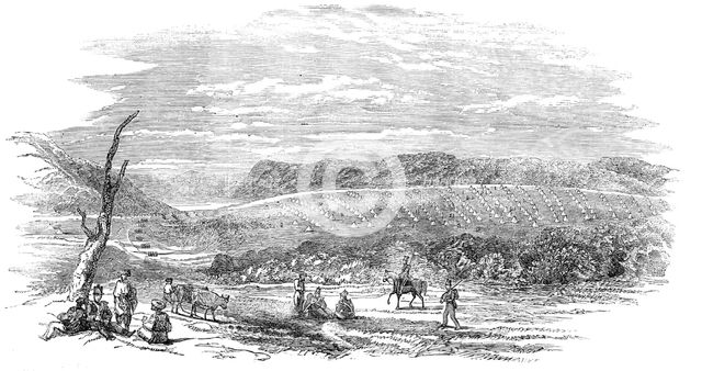 Camp of the English Light Division, at Varna, 1854. Creator: Unknown.