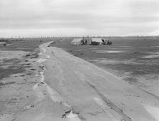 Camp of two related families seen from U.S. 99., Kern County, California, 1939. Creator: Dorothea Lange