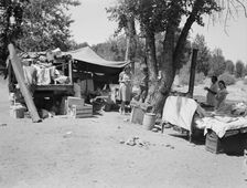 Camp of family with nine children who have been on the road..., Yakima Valley, Washington, 1939. Creator: Dorothea Lange