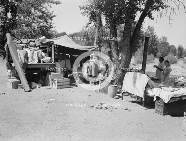 Camp of family with nine children who have been on the road..., Yakima Valley, Washington, 1939. Creator: Dorothea Lange.
