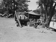 Camp of family with nine children...on the road for three years, Washington, Yakima Valley, 1939. Creator: Dorothea Lange