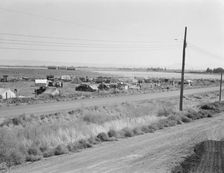Camp of migrant potato pickers seen from potato shed..., Tulelake, Siskiyou County, California, 1939 Creator: Dorothea Lange
