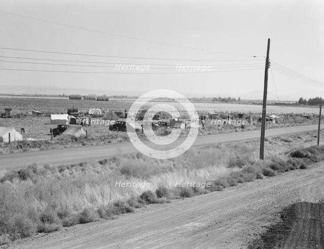 Camp of migrant potato pickers seen from potato shed..., Tulelake, Siskiyou County, California, 1939 Creator: Dorothea Lange.