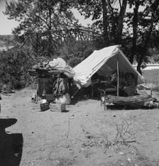 Camp of migratory family originally from Texas in "Ramblers Park", Yakima Valley, Washington, 1939. Creator: Dorothea Lange