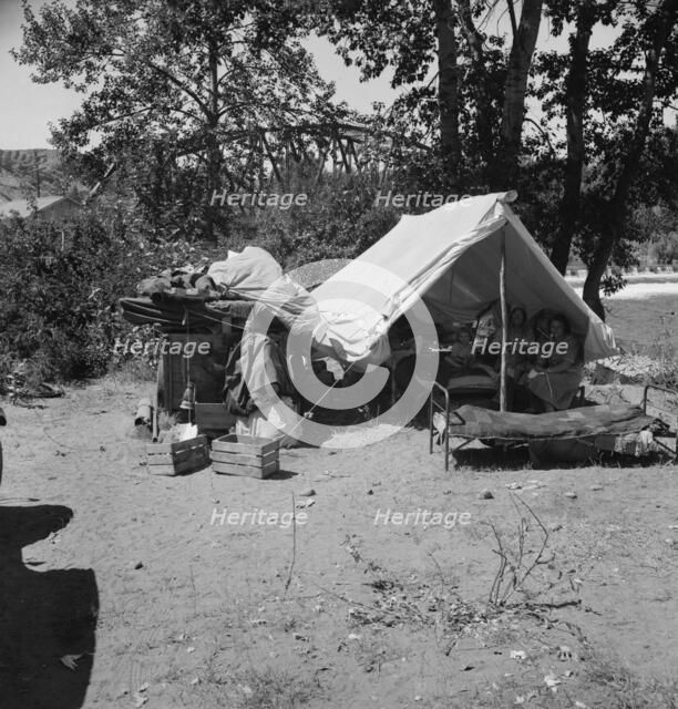Camp of migratory family originally from Texas in "Ramblers Park", Yakima Valley, Washington, 1939. Creator: Dorothea Lange.