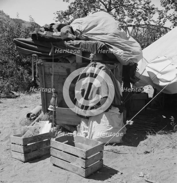 Camp of migratory family from Texas, Washington, Yakima Valley, 1939. Creator: Dorothea Lange.
