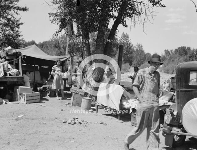 Camp of migratory families in "Ramblers Park", Yakima Valley, Washington, 1939. Creator: Dorothea Lange.