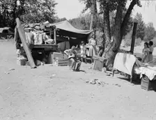 Camp of migratory families in "Ramblers Park", Yakima Valley, Washington, 1939. Creator: Dorothea Lange