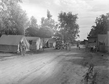 Camp of migratory fruit pickers, Farmington, California, 1936. Creator: Dorothea Lange