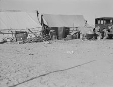 Camp of migratory workers, Imperial County, California, 1937. Creator: Dorothea Lange