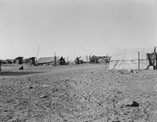 Camp of migratory workers, Imperial County, California, 1937. Creator: Dorothea Lange