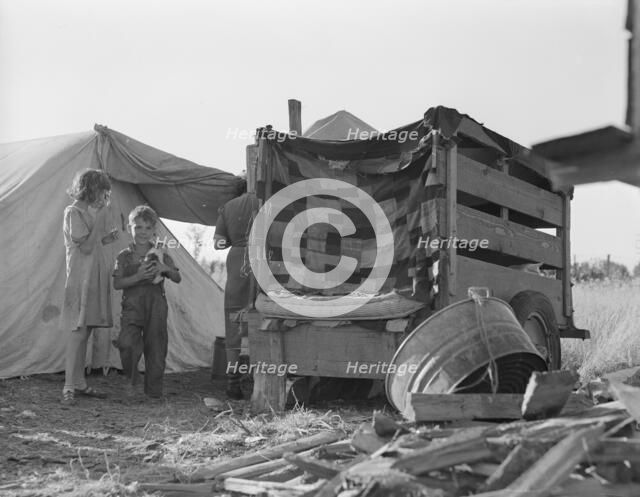 Camp of pickers during bean harvest, West Stayton, Marion County, Oregon, 1939. Creator: Dorothea Lange.