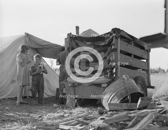 Camp of pickers during bean harvest, West Stayton, Marion County, Oregon, 1939. Creator: Dorothea Lange.