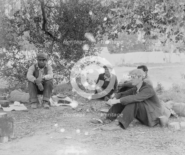 Camp of single men by the roadside...come in to work in the pea fields, Nipomo, California, 1935. Creator: Dorothea Lange.