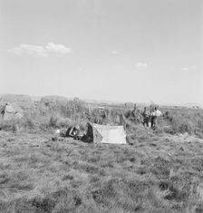 Camp of single men, Tulelake, Siskiyou County, California, 1939. Creator: Dorothea Lange