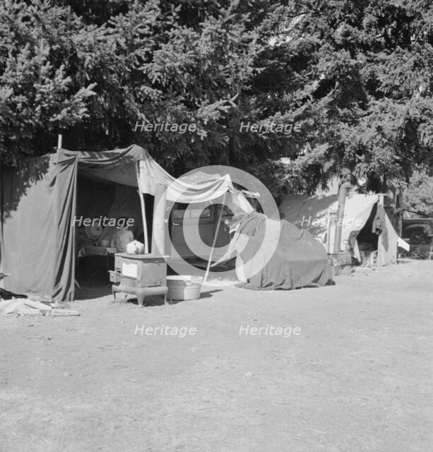Camp representative of fourteen in group, near West Stayton, Marion County, Oregon, 1939. Creator: Dorothea Lange.