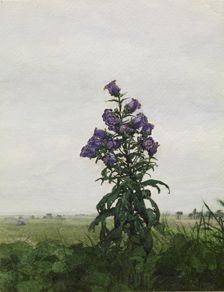 Campanula in front of a Landscape, 1863. Creator: Leon Bonvin