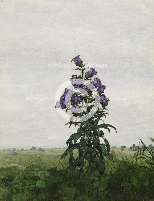 Campanula in front of a Landscape, 1863. Creator: Leon Bonvin.