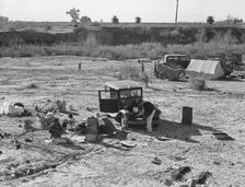 Camped on the flat, near Holtville, Imperial County, California, 1939. Creator: Dorothea Lange