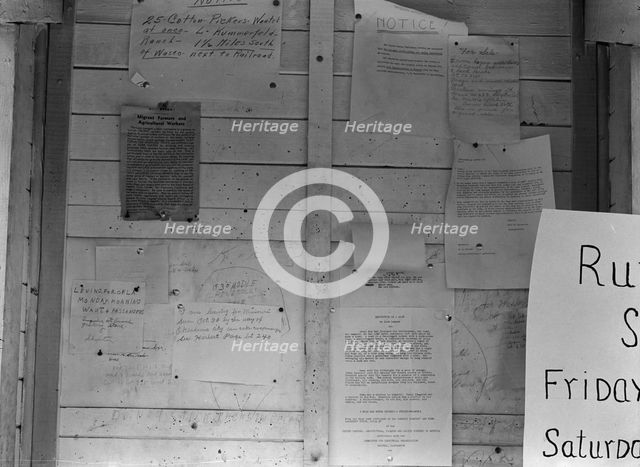 Campers' bulletin board at Shafter camp, California, 1938. Creator: Dorothea Lange.