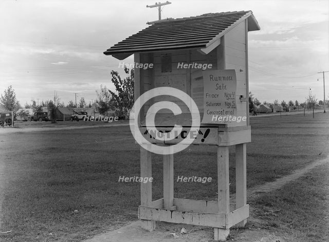Campers' bulletin board near entrance of Shafter camp for migrant workers, California, 1938. Creator: Dorothea Lange.