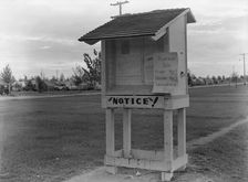 Campers bulletin board near entrance of Shafter camp for migrant workers, California, 1938. Creator: Dorothea Lange