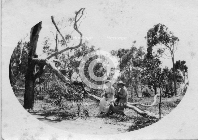 Camping at Woody Point, Redcliffe Peninsula, Queensland, 1912. Creator: Robert Augustus Henry L'Estrange.